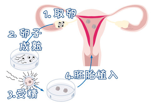 苏主任